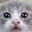 ᵛᵒʳᵒ