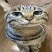 tippy2sticky - steam id 76561199137947236