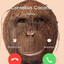 Cornelius Coconut