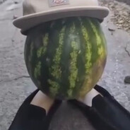 ♫♪♫♪