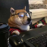 他们说我像大哥