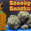 Scooby Snacks