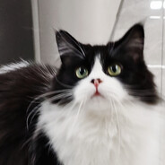 难受啊！马飞飞！