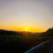 性感老钱在线挨打