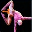L&#039;acrobite