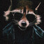 dodo 40 000's avatar