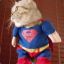 og___Super Cat