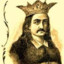 Radu cel Chipes