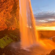 月月很菜狗请你吃炒饭