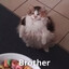 Avatar of player lööps