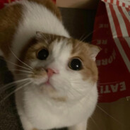 老公在外当0被儿子点到