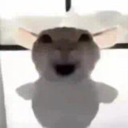 差不多冬至一早一晚还是有雨