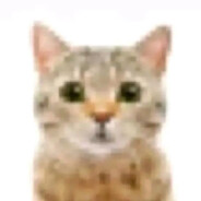 Tom Wambsgans