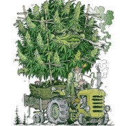 AL Hachache #********