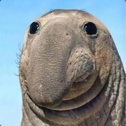 Bernard001