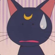 美少女战士的猫