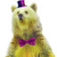 Fancy Bear