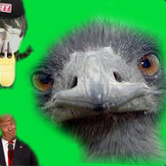 emu