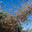 Ten Thousand Bees avatar