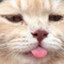 smellyCAT