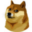 DOGE-