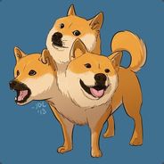 CerberDoge