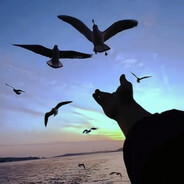 你背叛了无产阶级