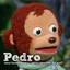 Yo pedro tu k-achero