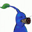 Yerba