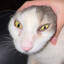 MadSon