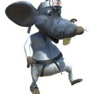 KungFu-Rat