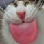 Guniral