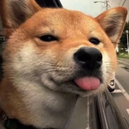 让我再潇洒一会