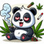 panda sativa