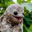 THE GREAT POTOO