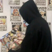 翻斗花园胡三岁