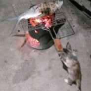 iщо кiпяточку