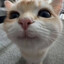 ^^