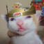 CatastroPhox