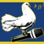 Theflyingpigeon