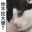 Oo。