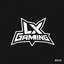 LX GAMING