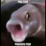 pogfish