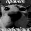 Бимбам