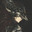 m3Yw-