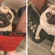 - - steam id 76561199811040022