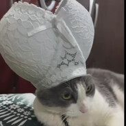 拼尽全力能杀一个