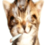 сублимация‹𝟹