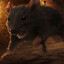 Vermin