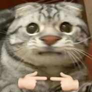 压力我追追变短